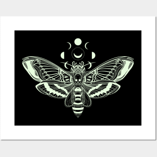 MOON AND MOTH Posters and Art